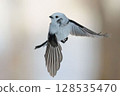 A cute long-tailed tit flying 128535470