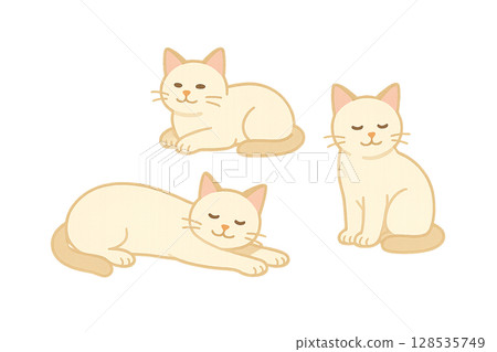 三隻白貓－讓人感受到夏天的可愛插圖 128535749