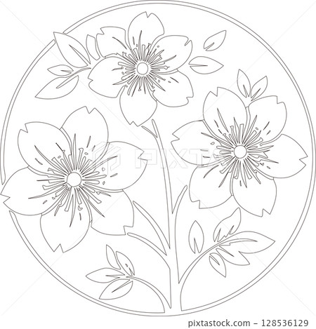 櫻花 櫻花 128536129