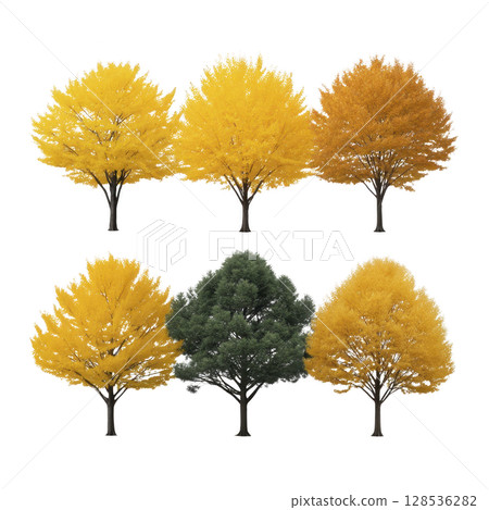 Collection of six trees showcasing vibrant autumn colors, including shades of yellow, orange, and green, arranged in two rows. image captures beauty of seasonal change 128536282