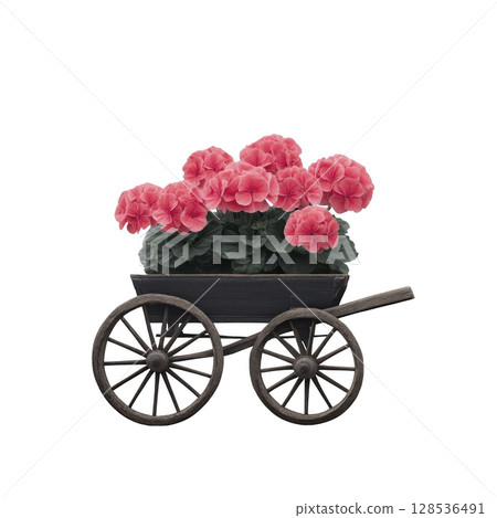 Rustic wooden cart filled with vibrant pink geranium flowers creates charming and colorful display. cart vintage design adds nostalgic touch, enhancing floral arrangement appeal 128536491