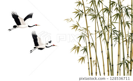 Natural landscape of bamboo forest in the morning with bamboo, trees and bright green leaves on white background 128536711