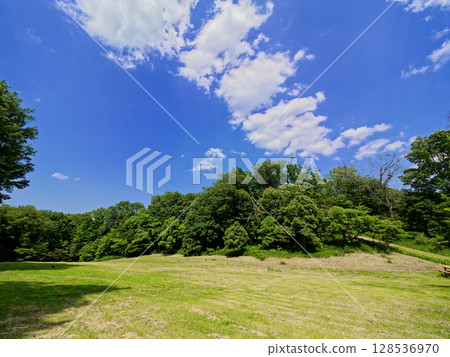 初夏藍天,森林公園草坪區 初夏藍天,森林公園草坪區 128536970