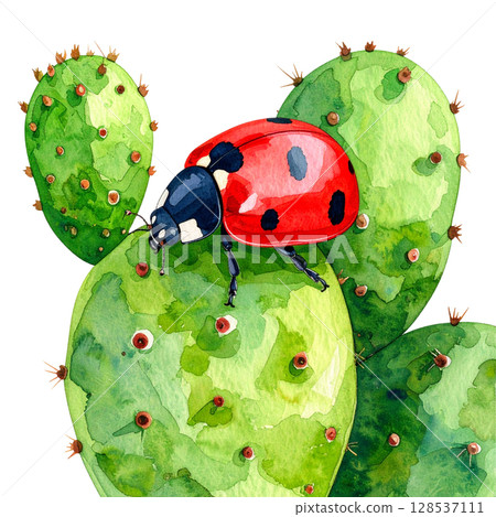 Bright red ladybug perched on green leaf isolated on white background. 128537111