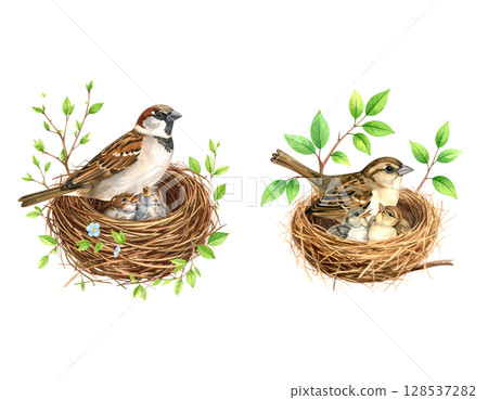 Close-up wildlife footage reveals a brown bird's nest with eggs hidden in a green leaf Close-up wildlife footage reveals a brown bird's nest with eggs hidden in a green leaf 128537282