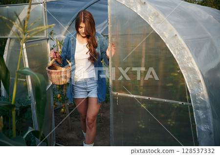 In greenhouse. Beautiful young woman is gardening 128537332