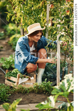 Sitting and working. Beautiful young woman is gardening 128537374