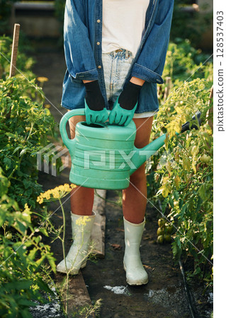 Plastic watering can in hands. Beautiful young woman is gardening Plastic watering can in hands. Beautiful young woman is gardening 128537403