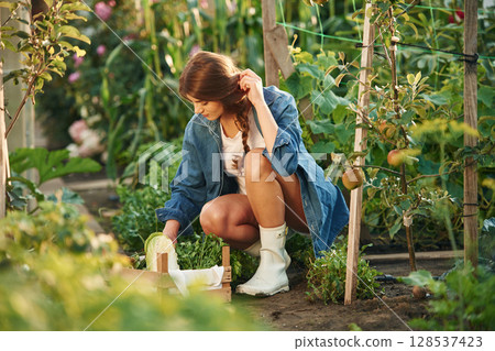 Cabbage and vegetables in wooden box. Beautiful young woman is gardening 128537423