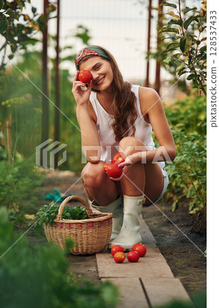 With tomatoes. Beautiful young woman is gardening With tomatoes. Beautiful young woman is gardening 128537433
