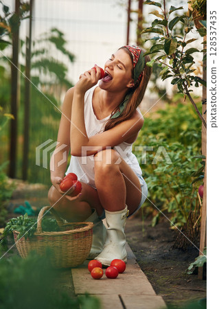 Tasting the tomato. Beautiful young woman is gardening 128537435