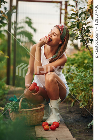 Tasting the tomato. Beautiful young woman is gardening Tasting the tomato. Beautiful young woman is gardening 128537436