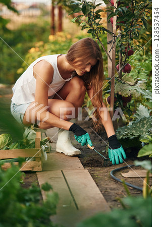Undermines the ground. Beautiful young woman is gardening Undermines the ground. Beautiful young woman is gardening 128537454