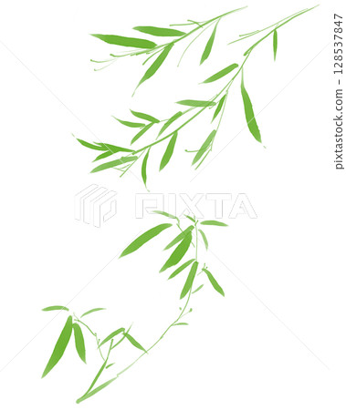 水彩竹葉插圖 128537847