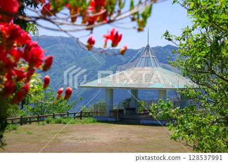 愛媛縣四國中央市水波青峰展望台 128537991