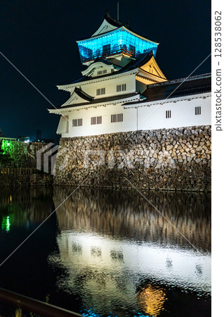 Toyama castle Toyama castle 128538062