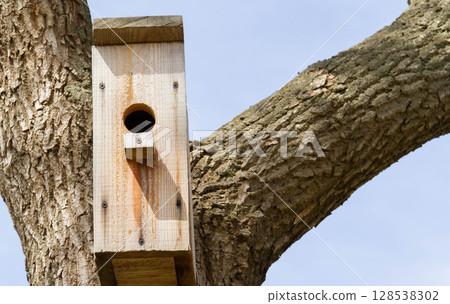 Bird feeders. Feeding birds in the forest. Birdhouse on a tree. Bird feeders. Feeding birds in the forest. Birdhouse on a tree. 128538302