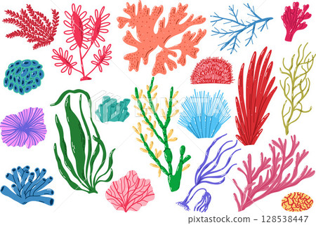 Colorful Seaweed and Coral Illustrations Representing Ocean Life Diversity 128538447
