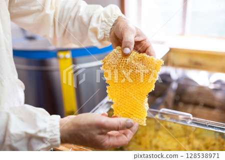 Beekeeper holding beeswax with honey in hands. Harvesting honey on apiary, professional beekeeper with honey in beeswax 128538971