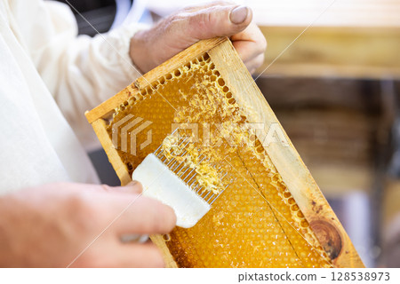 Beekeeper opening honey frames with fork tool. Harvesting honey from frames, uncapping honeycombs Beekeeper opening honey frames with fork tool. Harvesting honey from frames, uncapping honeycombs 128538973