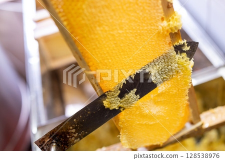Close up on knife opening honeycombs on frame. Uncapping frames from hive with golden tasty honey, beekeeper during work Close up on knife opening honeycombs on frame. Uncapping frames from hive with golden tasty honey, beekeeper during work 128538976