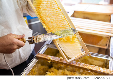 Beekeeper opening partially loaded frame with electric knife while harvesting honey. Special knife tool opener honeycombs, harvesting fresh golden honey on apiary Beekeeper opening partially loaded frame with electric knife while harvesting honey. Special knife tool opener honeycombs, harvesting fresh golden honey on apiary 128538977