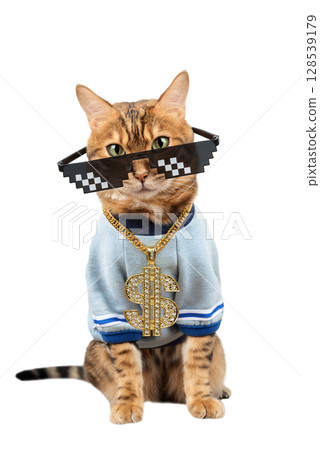 Bengal cat with pixelated glasses and a gold chain. 128539179