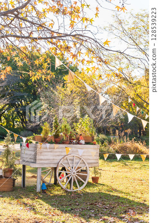 Christmas at Flower Park Konan (Konan City, Aichi Prefecture) 128539223
