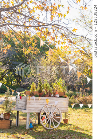 江南花卉公園的聖誕節（愛知縣江南市） 128539224