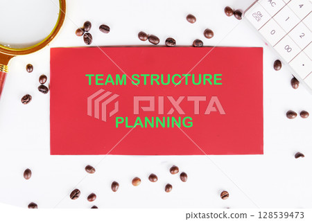 Conceptual text, phrase, words Team Structure Planning The concept of development and business, strategy and growth. A place to copy 128539473