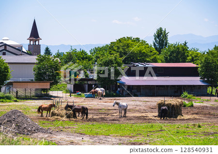 Heidi's Village Horseland Horses 128540931