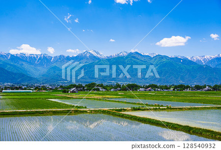 Azumino in early summer: Refreshing rural scenery Azumino in early summer: Refreshing rural scenery 128540932