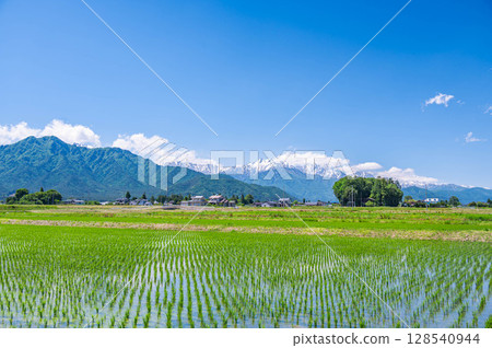 Rural and mountain scenery with rice paddies in early summer 128540944
