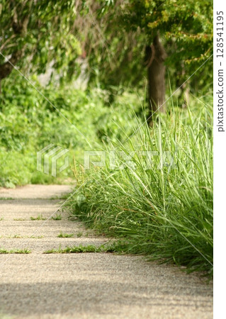 an road July 128541195