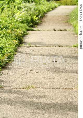 七月一條路 七月一條路 128541200