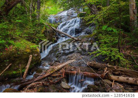 [Oono River] Downstream of Sanbontaki Falls [Norikura Plateau] 128541616