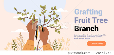 Hands pruning fruit tree branch gardening activity with pruning shears green leaves outdoor nature background website banner 128541738