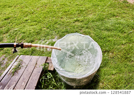 Filling water barrel with hose, gardener pours stream into plastic liner placed inside rain barrel standing on green lawn in backyard. 128541887