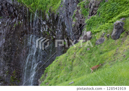 Furepe Falls in Shiretoko, Hokkaido 128541919
