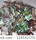 Top view of a handmade florarium with succulents, sand, stones, lichen-covered twigs and dry seed pods. Natural indoor plant composition for botanical decor and eco-friendly design 128542150