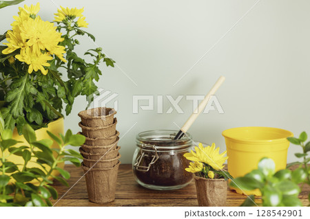 Greenery sustainable home still life. Home gardening. Spring composition with yellow garden pot, potted plantes and garden accessories on wooden table on blue background. Hobby and relaxing at home Greenery sustainable home still life. Home gardening. Spring composition with yellow garden pot, potted plantes and garden accessories on wooden table on blue background. Hobby and relaxing at home 128542901