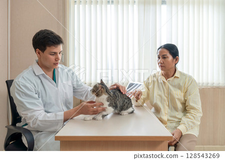 Young caucasian veterinarian in white gown examine a cat on the table while the owner look on, showcasing a caring and professional atmosphere in an animal clinic during daytime hour. 128543269