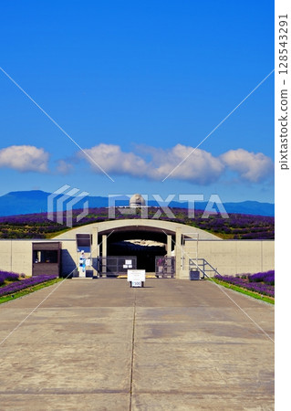 薰衣草山風景 128543291