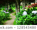 花園風景（繡球花、粉花、八仙花、滿族花、八仙花、八仙花、天滿浦花） 花園風景及散步道 128543480