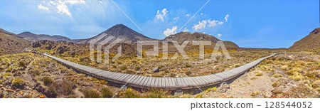 Wooden trail curving through volcanic plains Wooden trail curving through volcanic plains 128544052