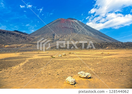 Dry volcanic plains with Mount Ngauruhoe Dry volcanic plains with Mount Ngauruhoe 128544062