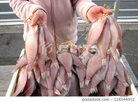 乾魚直銷 128544952