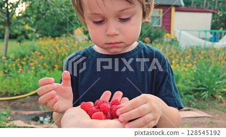 Parental care, mom gives her son organic berries. Cute funny toddler boy eating raspberry. little child is eating raspberries in garden. 128545192