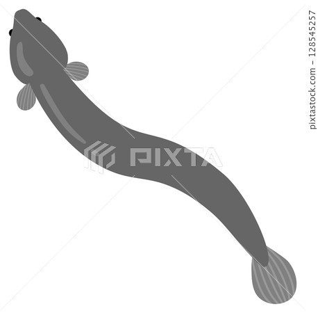 鰻魚插畫素材 128545257