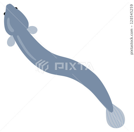 Eel illustration material 02 128545259